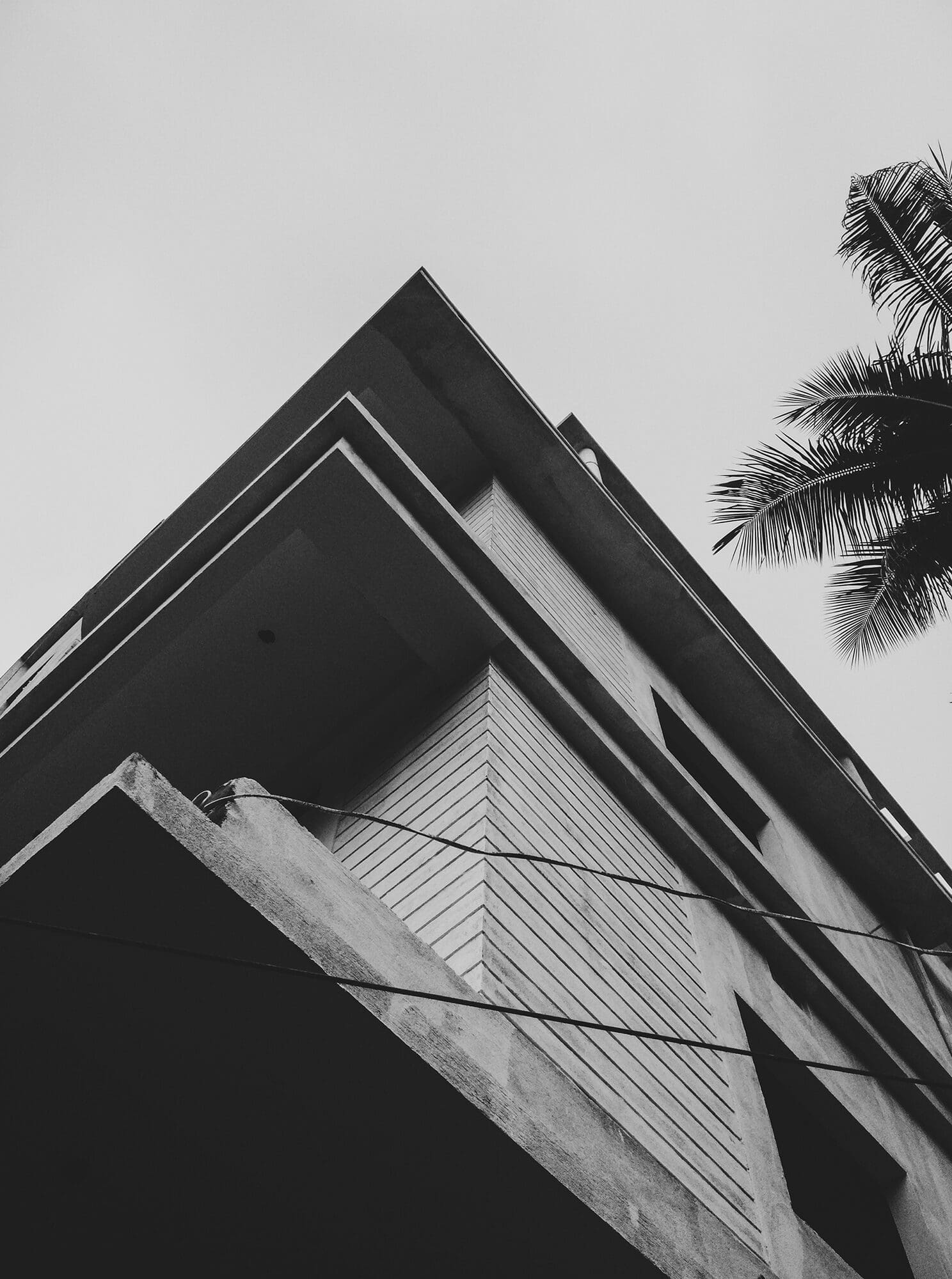 Black and white low-angle view of a modern building corner with palm fronds